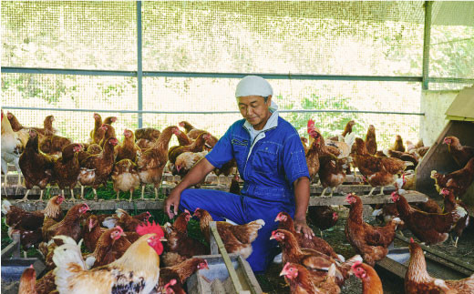 本間農園の無添加あんプリン５個セット 【スイーツ 平飼い 無添加 有精卵 ミルン牧場 牛乳 プリン県 プリンマップ】(H073114)