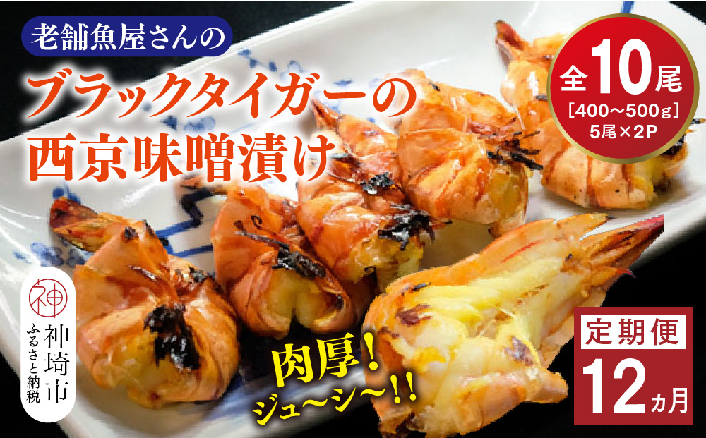 【12カ月定期便】ブラックタイガーの西京味噌漬け 5尾×2パック×12回【海老 味噌漬け 焼くだけ 簡単調理 エビ料理 おつまみ おかず バーベキュー お弁当】(H032144)