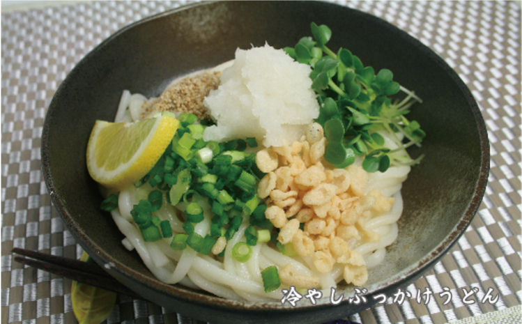 ふっくらモチモチ神埼生うどん 20袋入 【麺 うどん 生うどん 釜揚げうどん】(H014114)