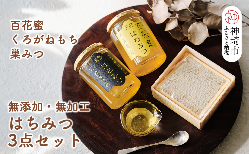 国産はちみつ(神埼産)百花蜜・くろがねもち450g×1 巣みつ 【贈り物 黄金色 自家製 疲労回復 美容 栄養 花の蜜 純粋 九州産】(H050125)