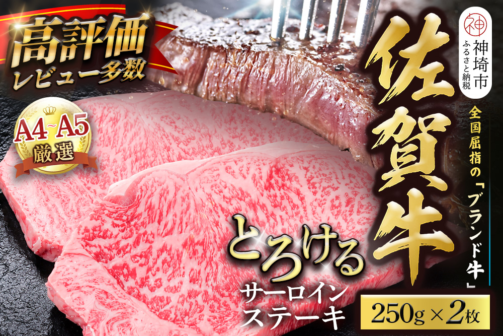 【スピード発送】佐賀牛 サーロインステーキ 250g×2枚【黒毛和牛 牛肉 最高級 冷凍 ギフト 贈答 丸宗ミート 神埼市】(H065221)