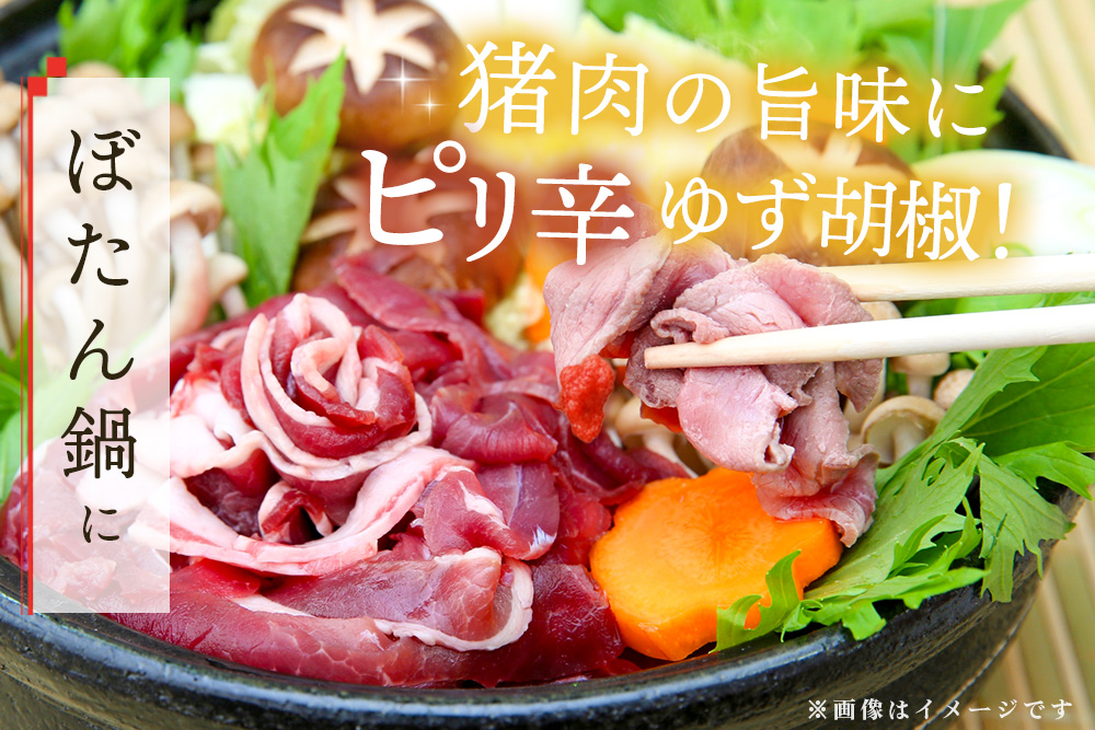 脊振ジビエ 詰め合わせ イノシシ肉約600g＆柚子胡椒2本セット 【ジビエ イノシシ肉 ロース バラ カレー 鍋 詰め合わせ】(H059121)