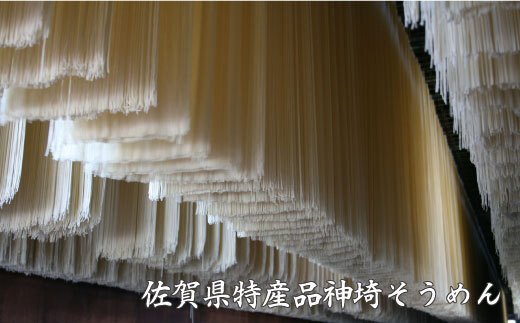 【定期便・春夏秋冬・年4回】四季の麺・九州佐賀神埼麺 【そうめん うどん ラーメン 特産品 国産 自家用 贈答用】(H014128)