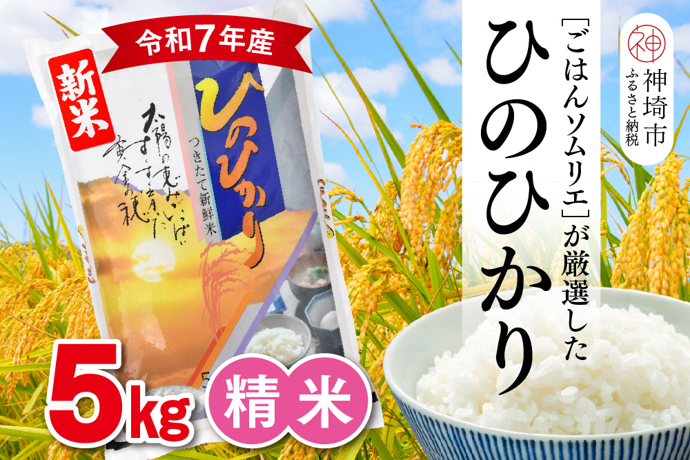 【令和7年産 新米】ごはんソムリエが厳選 白米 ひのひかり 5kg【神埼市産 米 お米 精米 白米 5kg ひのひかり ブランド米 食味鑑定士】(H063150)