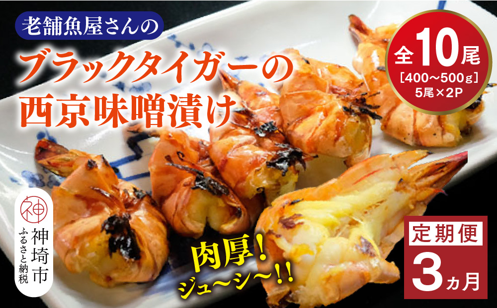 【3カ月定期便】ブラックタイガーの西京味噌漬け 5尾×2パック×3回【海老 味噌漬け 焼くだけ 簡単調理 エビ料理 おつまみ おかず バーベキュー お弁当】(H032142)