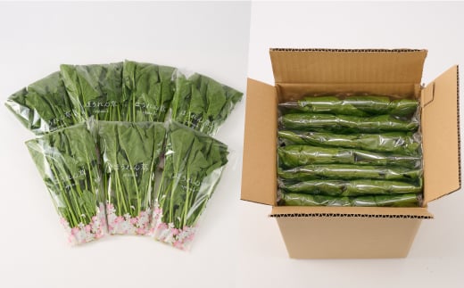 【定期便3回】ほうれん草 約1kg（150g x 7袋）【合計 約3kg】(H091119)