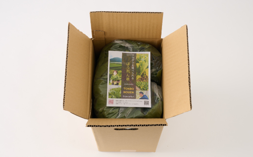 ほうれん草 1kg バラ詰め（大きな袋に1kg）【ハウス栽培 産地直送 クール便 佐賀県脊振山麓産】(H091116)