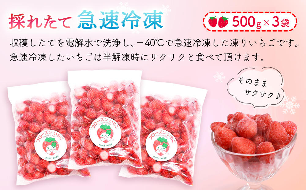 フローズンいちご1.5㎏【フルーツ フローズン ジャム スムージー 冷凍 解凍 練乳 牛乳 砂糖】(H017122)