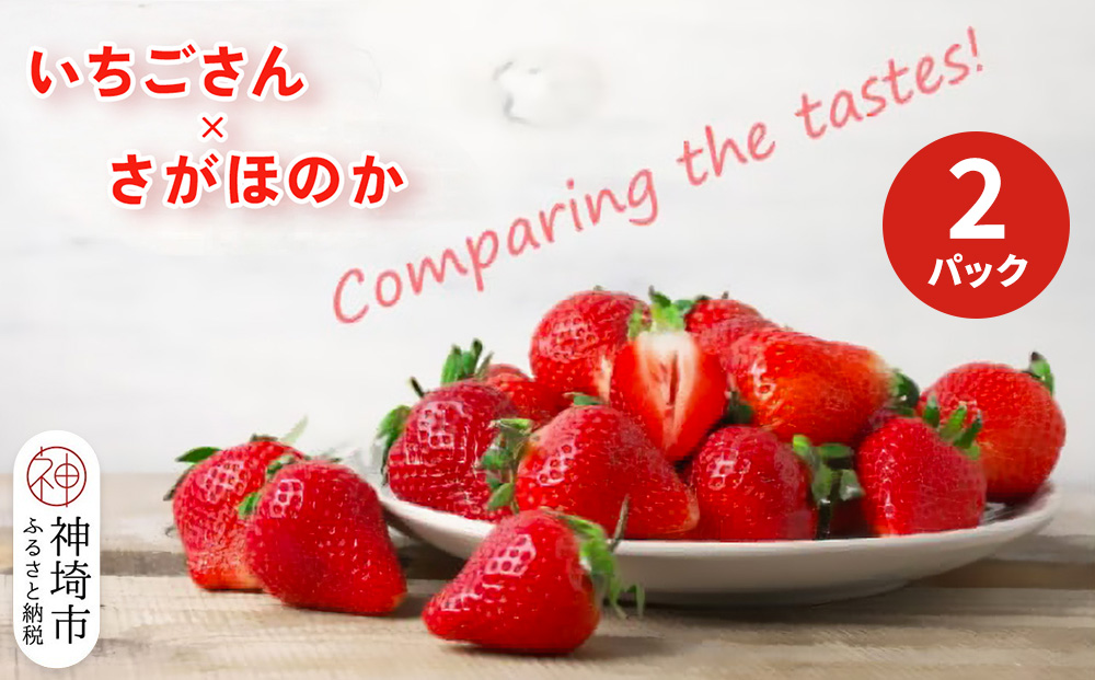 いちご食べ比べ 2パック(いちごさん・さがほのか)【果物 くだもの フルーツ イチゴ 苺 佐賀】(H116135)