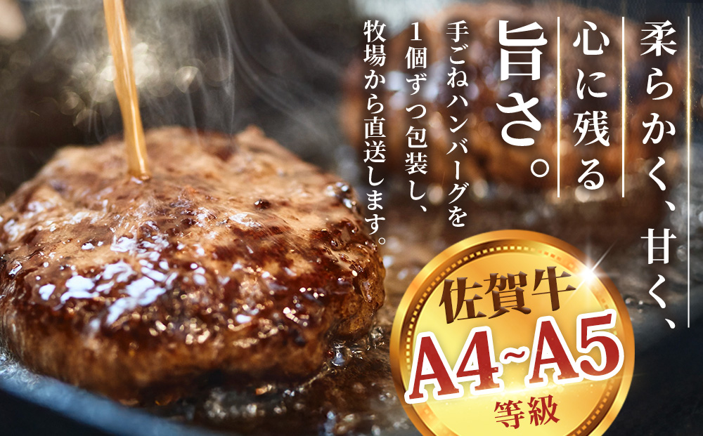佐賀牛 サーロインステーキ200g×1枚計200g 柔らかハンバーグステーキ130g×4個計520g【佐賀牛 サーロイン ステーキ ハンバーグ 高級部位 赤身肉 霜降り】(H122129)