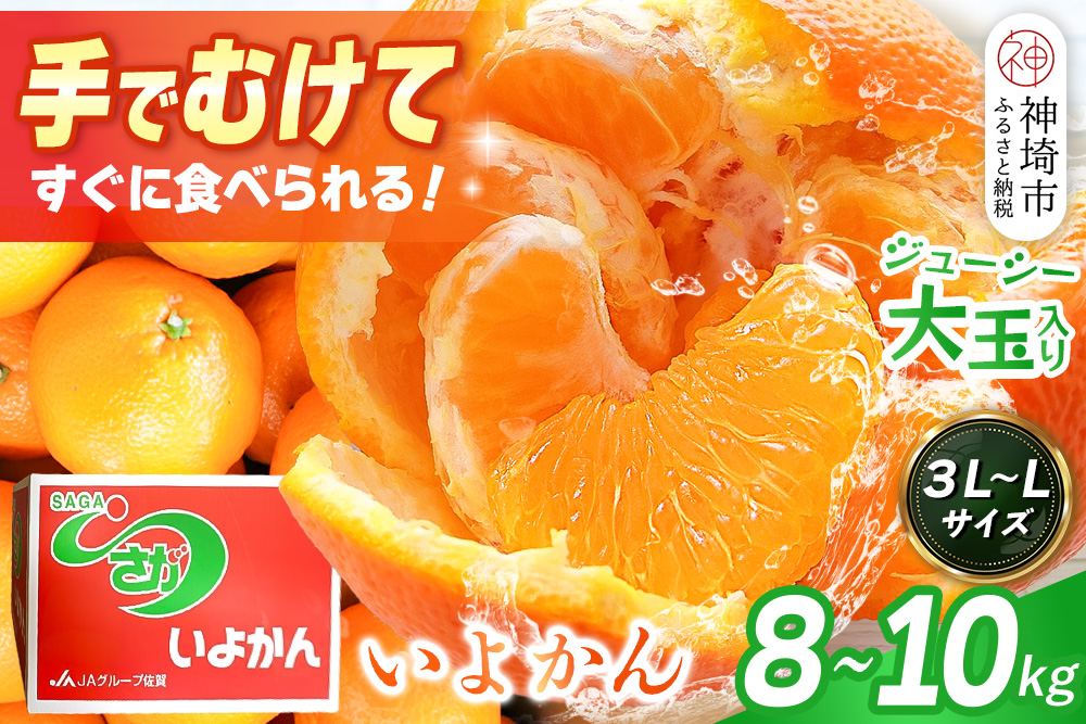 【2027年1月中旬より発送開始】いよかん 8〜10kg(3L〜Lサイズ)【みかん 柑橘 フルーツ デザート】(H116141)