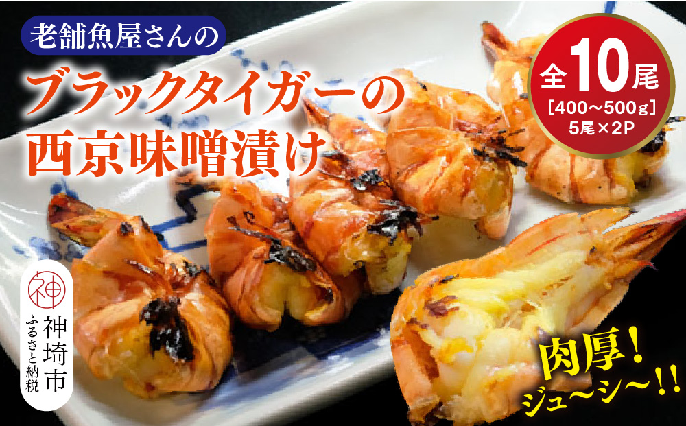 ブラックタイガーの西京味噌漬け 5尾×2パック【海老 味噌漬け 焼くだけ 簡単調理 エビ料理 おつまみ おかず バーベキュー お弁当】(H032140)