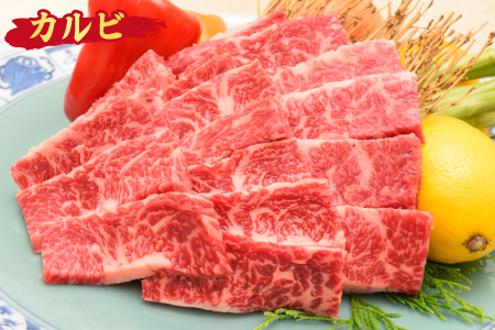 佐賀牛 カルビ 焼肉用 1,000g A5 A4 【希少 国産和牛 牛肉 肉 牛 焼肉】(H085192)