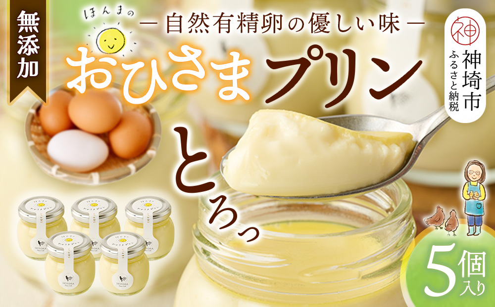おひさまプリン5個セット 【スイーツ 平飼い 無添加 有精卵 ミルン牧場 牛乳 プリン県 プリンマップ】(H073108)