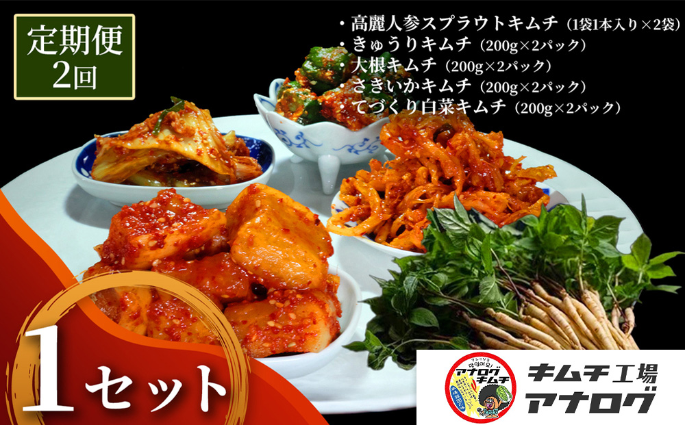 【2カ月定期便】5種の本格キムチ食べ比べ 4種のキムチ(各200g×2パック)＋スプラウトキムチ(1本入り×2袋)【熟成秘伝 きゅうり 大根 カクテキ さきいか 白菜 キムチセット 国産 手づくり 発酵食品 ご飯のお供 詰め合わせ 九州産 手作り】(H104272)