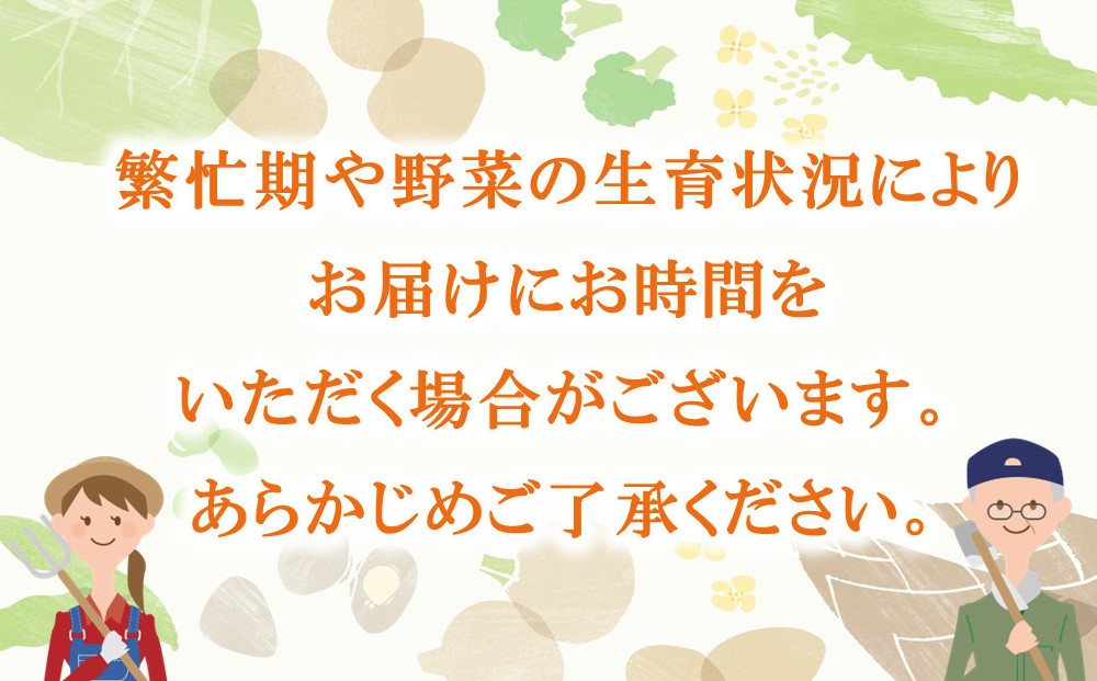 年間定期便48回 里山で採れた野菜セットショート 8品 【有機野菜 おまかせ野菜セット イタリア野菜 西洋野菜 定期便】(H078104)