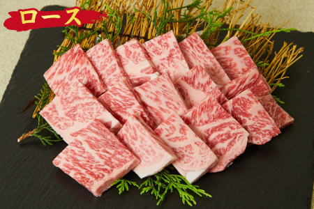 佐賀牛 ロース 焼肉用 800g A5 A4 【希少 国産和牛 牛肉 肉 牛 焼肉 リブロース】(H085129)
