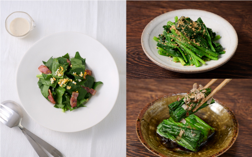 ほうれん草 2kg バラ詰め（大きな袋に2kg）【ハウス栽培 産地直送 クール便 佐賀県脊振山麓産】(H091117)