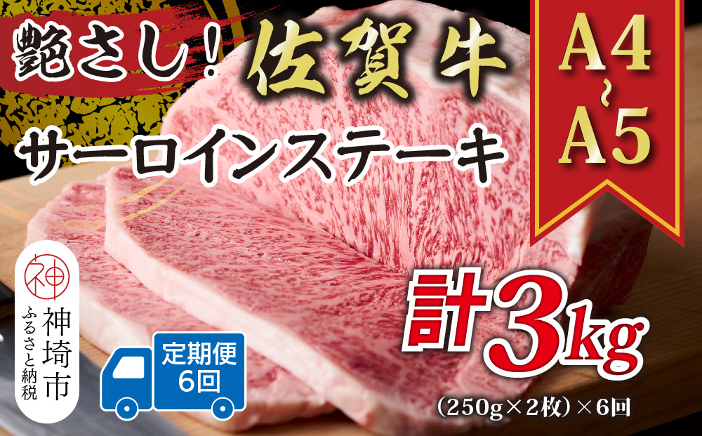 【6か月定期便】艶さし！【A4〜A5】佐賀牛サーロインステーキセット 500g(250g×2枚)×6回【肉 牛肉 ブランド牛 黒毛和牛 ステーキ肉 ふるさと納税】(H112194)