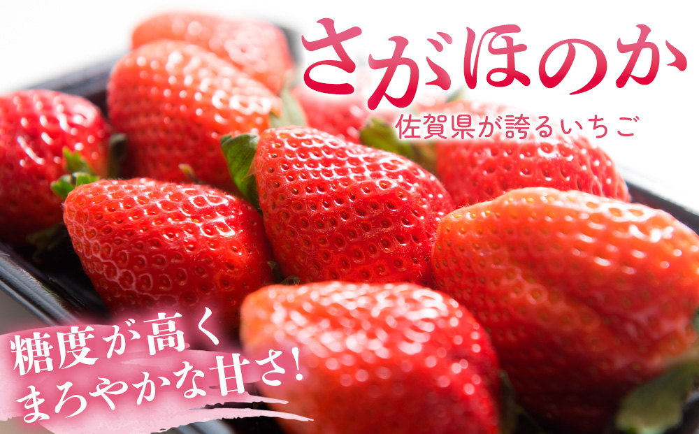 佐賀県産『さがほのか』4Pセット【いちご 苺 イチゴ 大粒 果物 フルーツ デザート ふるさと納税】(H108103)