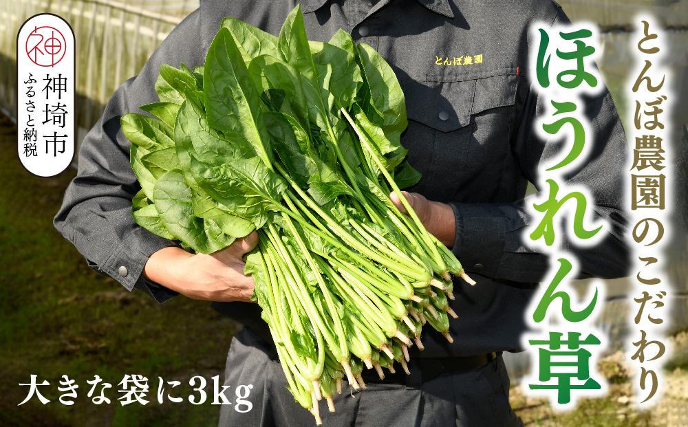 【先行受付 10月より順次発送】ほうれん草 3kg バラ詰め（大きな袋に3kg）【ハウス栽培 産地直送 クール便 佐賀県脊振山麓産】(H091118)