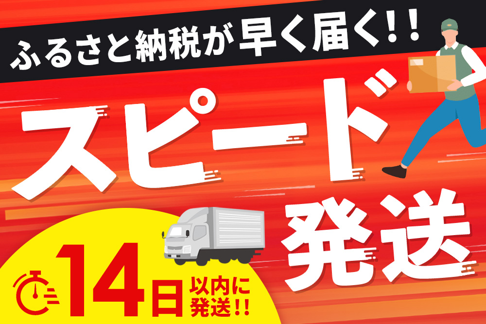 【14日以内発送！数量限定】佐賀牛入り ハンバーグ 22個 2.6kg(120g×22個)【佐賀牛 黒毛和牛 ブランド牛 九州 ハンバーグ 牛肉 豚肉 国産 お弁当 おかず 惣菜 おすすめ 人気】(H083106)