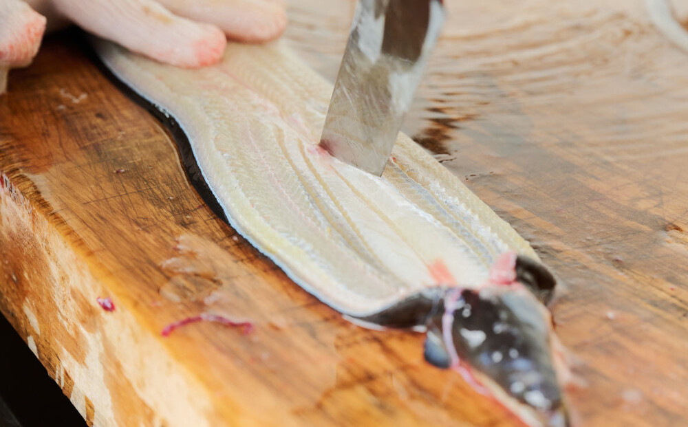 【職人手焼き】国産特大うなぎ白焼2尾(1尾あたり約170g前後)【国産 うなぎ 鰻 ウナギ 極上 白焼き 香ばしい 旨味 スタミナ 抹茶塩 山椒】(H097110)