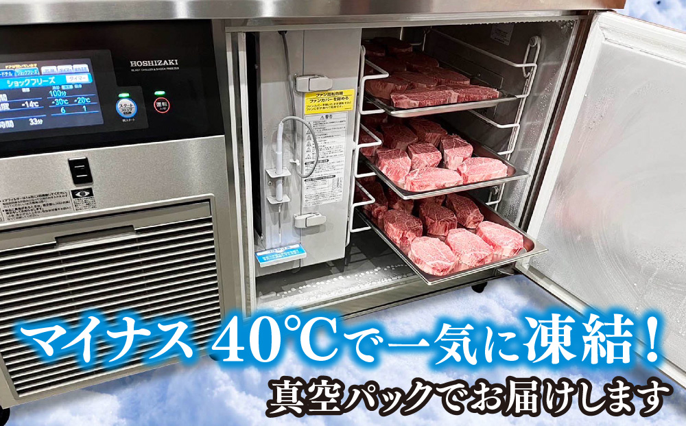 【先行受付 2025年1月より順次発送】佐賀牛ヒレ(200g×3枚)+サイコロステーキ(400g)セット【佐賀牛 ブランド牛 国産牛 フィレ お祝い ご褒美 真空パック ふるさと納税】(H107107)