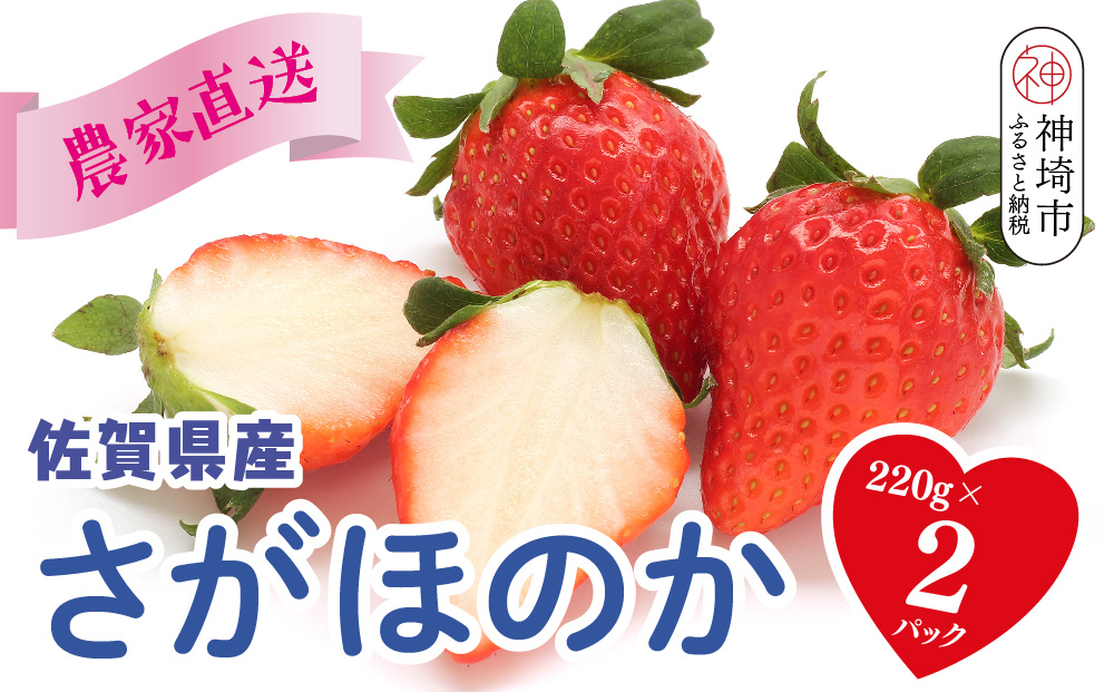 【農家直送】さがほのか220g×2パック【いちご 苺 イチゴ 果物 フルーツ スイーツ デザート ふるさと納税】(H117101)