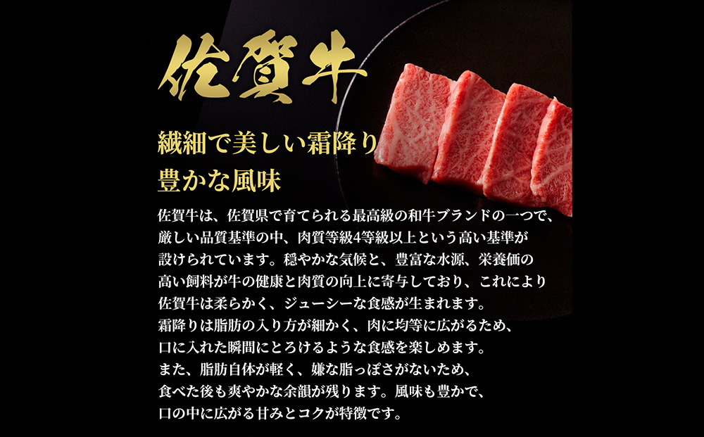 【和牛セレブ】佐賀牛 焼肉肩ロース 250g【肉 ブランド牛 和牛 牛肉 ふるさと納税】(H113102)