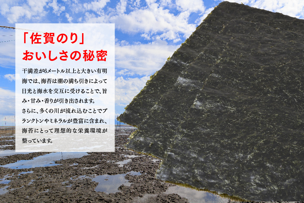 【佐賀海苔 有明海産】新撰佐賀のり(全形6枚×4袋)【佐賀県産 焼き海苔 焼きのり 有明海苔 国産海苔 おにぎり ご飯のお供 手巻き寿司 老舗】(H119104)