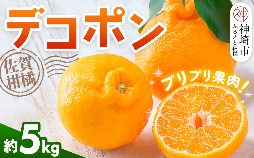 【令和7年2月より発送】佐賀県産柑橘『デコポン』約5000g【果物 フルーツ でこぽん みかん 柑橘 ジューシー 濃厚な甘み ふるさと納税】(H108112)