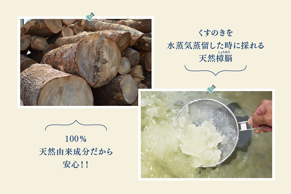 九州のくすのきから生まれたカンフルパウダー 15g×10パック【防虫剤】【天然 楠 木 防虫剤 くすのき 衣替え カンフル】(H037108)