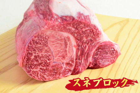 佐賀牛 すね肉 ブロック 500g 【煮込み料理 A5 A4 期間限定 希少 国産和牛 牛肉 肉 牛】(H085156)