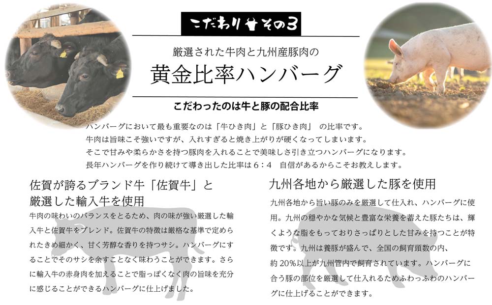 【14日以内発送！数量限定】佐賀牛入り ハンバーグ 22個 2.6kg(120g×22個)【佐賀牛 黒毛和牛 ブランド牛 九州 ハンバーグ 牛肉 豚肉 国産 お弁当 おかず 惣菜 おすすめ 人気】(H083106)