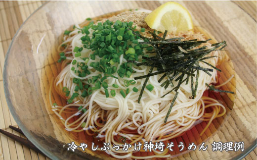 佐賀県特産品 神埼そうめん 3入 【そうめん 乾麺 佐賀県特産品 御中元 夏 自家用】(H014122)