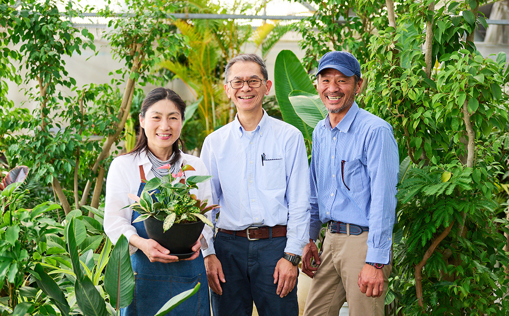 オリジナルアレンジ観葉植物　Sサイズ【寄せ植え インテリア リビング 室内 グリーン 植物 癒し リフレッシュ】 (H086104)