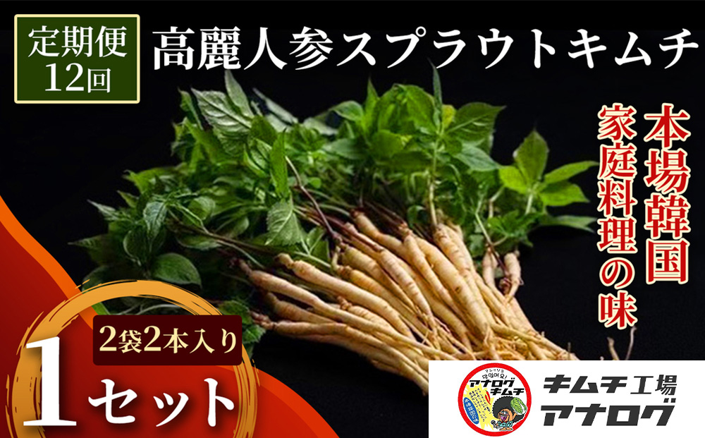 【12カ月定期便】熟成秘伝の高麗人参スプラウトキムチ(1本入り×2袋)【エナキム 健美キムチ 健康志向 熟成キムチ ご飯のお供 発酵食品 手作り 辛味控えめ 国産素材】(H104190)
