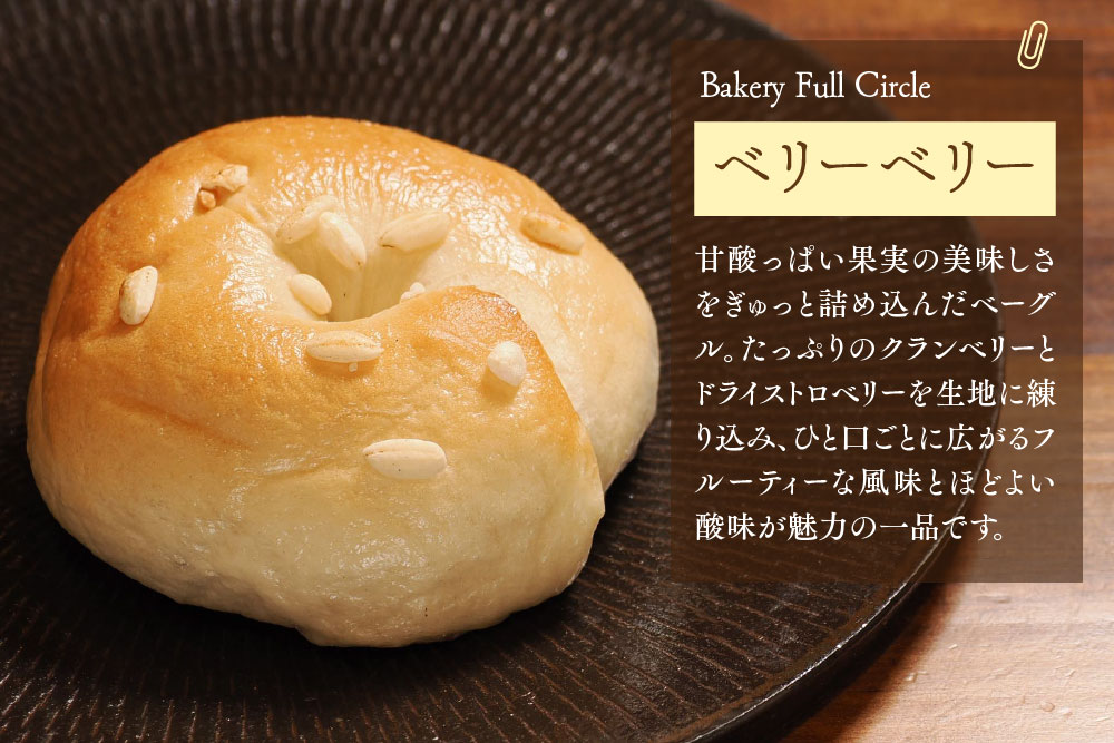 焼きたて直送便 ベーグル10種詰め合わせ【瞬間冷凍 卵不使用 砂糖不使用 油不使用 無添加 低温発酵 ケトリング もちもち おやつ】(H111118)