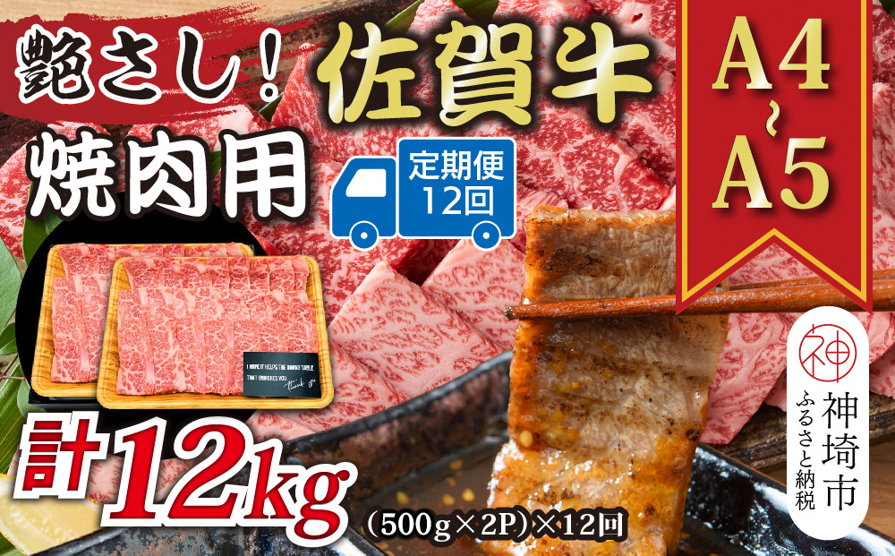 【12か月定期便】艶さし！【A4〜A5】佐賀牛焼肉用 1kg(500g×2P)×12回【肉 牛肉 ブランド牛 黒毛和牛 ふるさと納税】(H112171)
