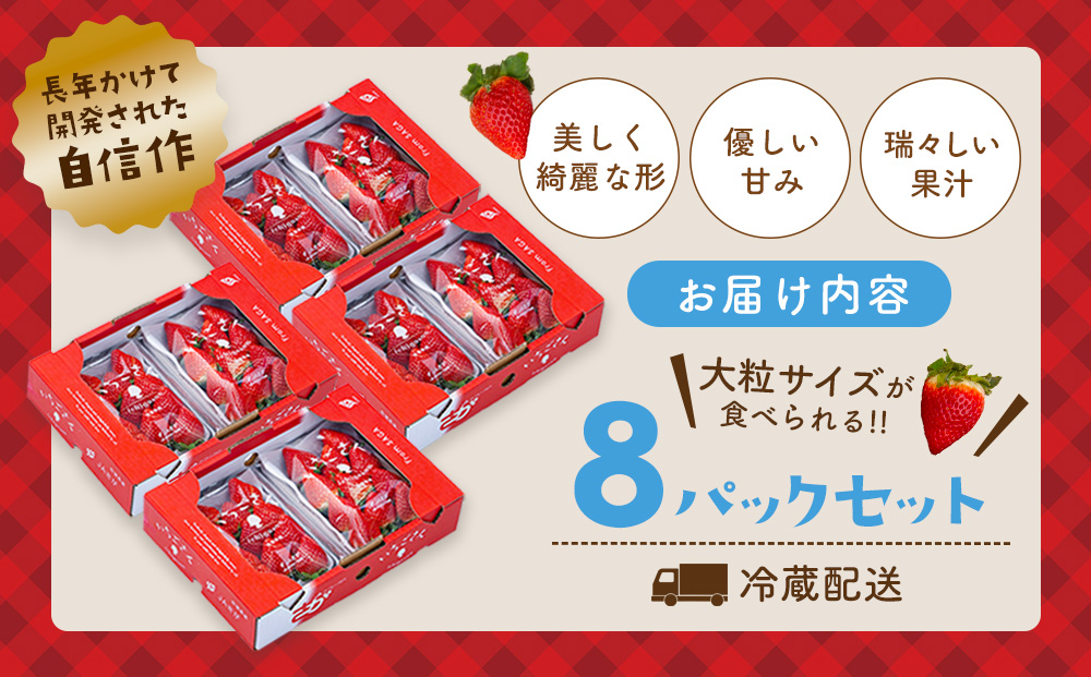 佐賀県産『いちごさん』8Pセット【苺 イチゴ ブランドいちご 大粒 果物 フルーツ デザート ふるさと納税】(H108102)