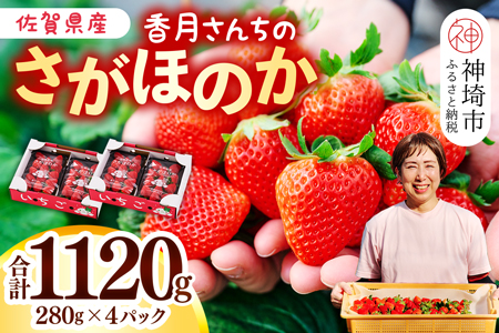 【先行受付 令和7年1月より発送】香月さんちのいちご(さがほのか)280g×4パック 【いちご イチゴ 苺 さがほのか 大玉 大粒フルーツ 果物  数量限定 香月農園 佐賀県産】(H017109)