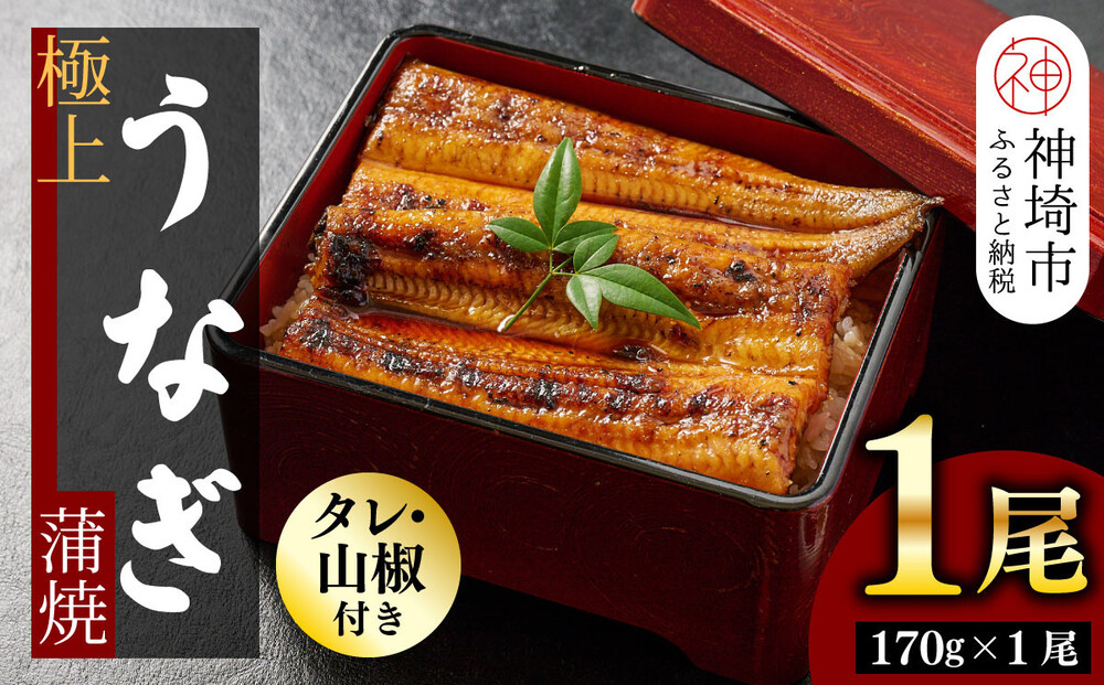 【職人手焼き】国産特大うなぎ蒲焼1尾（約170g前後）【国産 特大 うなぎ 鰻 ウナギ ふっくら 柔らか 鰻重 きざみ鰻 うなぎのせいろ蒸 タレ付 弁当】(H097112)