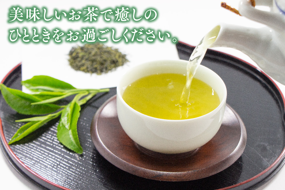 【毎月お届け12回】特上煎茶八重100g2本と季節の茶100g1本(急須付き) 【定期便 九州 お茶 緑茶 急須 フィルターインボトル 定期便】(H047113)