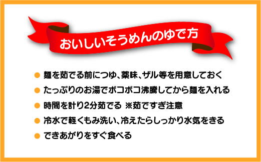 佐賀県特産品 神埼そうめん 10入 【そうめん 乾麺 神埼そうめん 特産品  御中元 夏 自家用】(H014124)