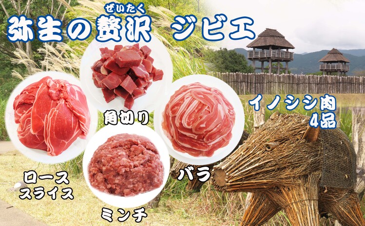 【定期便3回】脊振ジビエ イノシシ肉(ロース バラ 角切り ミンチ)4品詰合せ(小) 【佐賀 佐賀県産 猪 ロース バラ スライス 焼肉 しゃぶしゃぶ 鍋物】(H072128)