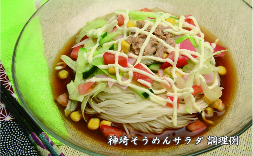 佐賀県特産品 神埼そうめん 10入 【そうめん 乾麺 神埼そうめん 特産品  御中元 夏 自家用】(H014124)