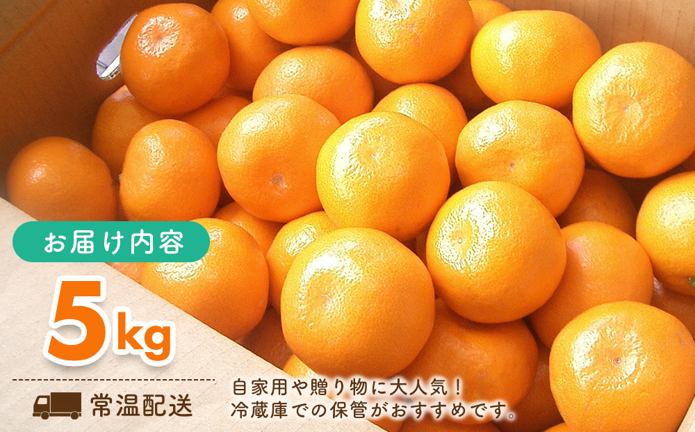 【先行受付 令和8年6月より発送開始】佐賀県産『ハウスみかん』約5000g【果物 フルーツ みかん 柑橘 ビタミン デザート ふるさと納税】(H108116)