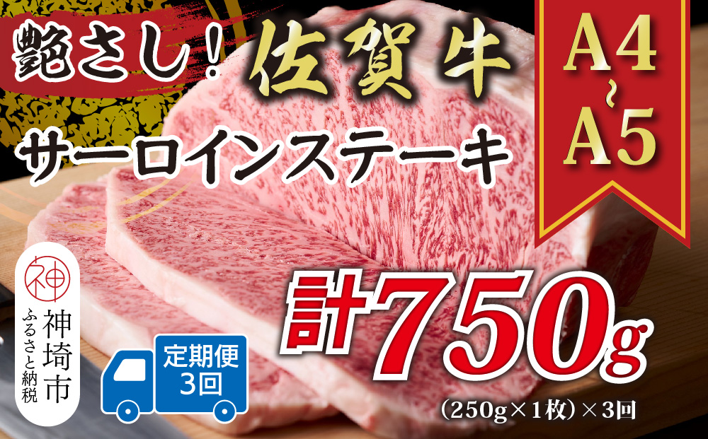 【3か月定期便】艶さし！【A4〜A5】佐賀牛サーロインステーキ 250g(250g×1枚)×3回【肉 牛肉 ブランド牛 黒毛和牛 ステーキ肉 ふるさと納税】(H112190)