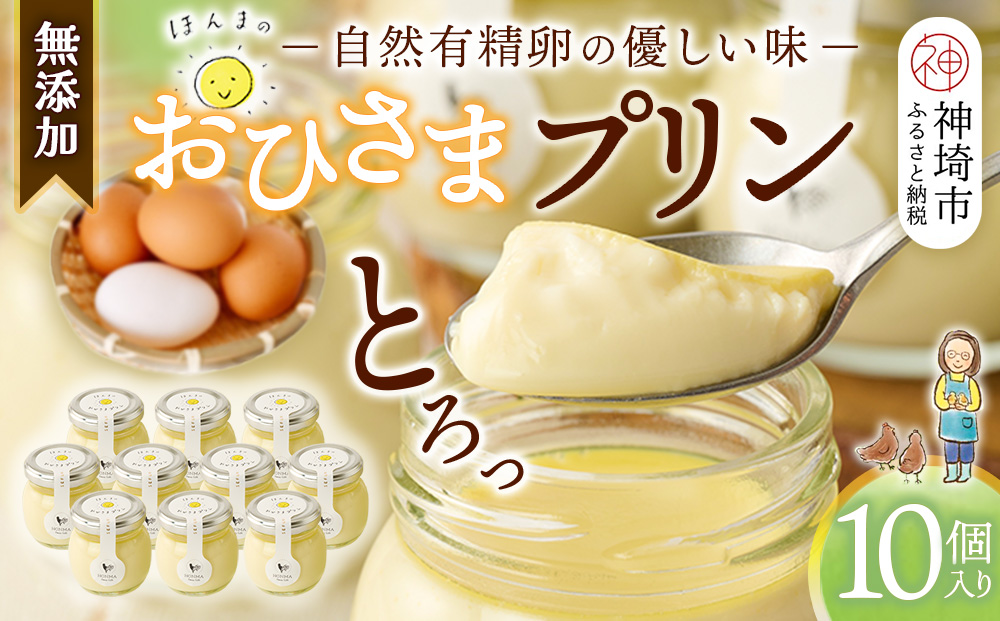 おひさまプリン10個セット 【スイーツ 平飼い 無添加 有精卵 ミルン牧場 牛乳 プリン県 プリンマップ】(H073109)